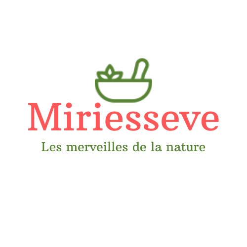 Miriesseve -Ateliers et produits cosmétiques naturels Toulouse